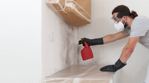 Professional Mold Remediation technician working in Chincoteague Island, VA