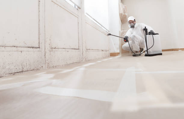 24/7 Emergency Mold Remediation experts in Chincoteague Island, VA