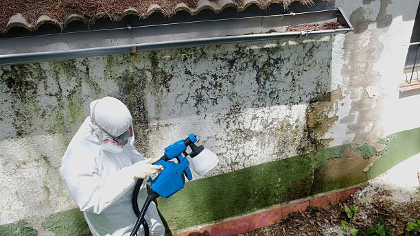 Top rated local Mold Remediation specialists in Chincoteague Island, VA
